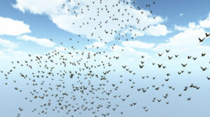 flock git